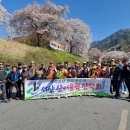 지리산 쌍계사 불일폭포 벚꽃 산행 이미지