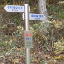 아름상회 이미지