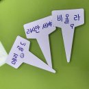 모현중학교 | 모현중학교 학교텃밭수업 후기｜중학교 텃밭수업, 잎채소 모종심기와 꽃심기 체험 프로그램