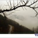 정토농장 Daum카페