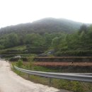 의령공인중개사사무소 이미지