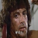 여주곤충박물관 이미지