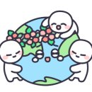 디엠(DM) 이미지