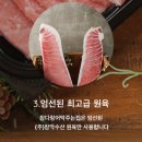 참막 참치정육식당 이미지
