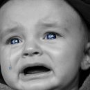 BOXING STORY 이미지