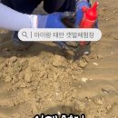 마검포 협동조합