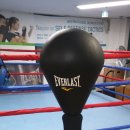 복싱 팩토리 짐 이미지