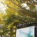 흥부축사 이미지