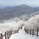 진달래민박 이미지