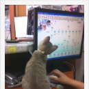 애경동물병원 이미지