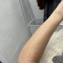 안양시 호계동 웰빙센터 | 안양 호계동 왁싱샵 추천 꼼꼼하고 친절한 시술로 만족하고온 팔왁싱 후기