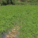 상미농장 이미지