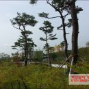 솔비공인중개사사무소 이미지