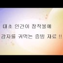 두리서-2 (동영상) : 태초에인간이 장작불에 감자굽는 증빙자료 이미지