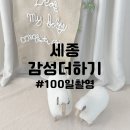 감성더하기 | 세종 | 감성더하기 스튜디오 100일 촬영 솔직 후기