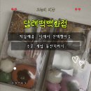 떡백화점 | 떡답례품 고민 끝! 답례떡백화점 떡선물세트 솔직 후기 (돌떡·결혼답례떡 추천)