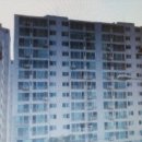 강남5길(정하동) 이미지