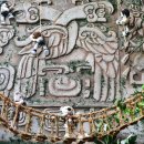 테지움사파리 이미지