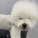 고방동물병원 이미지