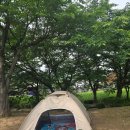 갯골생태공원(소금창고) | 시흥 갯골생태공원 당일캠프닉 소금만들기 염전체험 후기