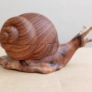 회화나무와 굴피나무 혹덩이로 만든 달팽이 보석/차함 연마작. 이미지