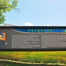 소설가의 낙원 이미지