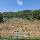 수성농장 이미지