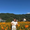 구례군청소년수련원 이미지