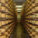 안 팔린 우유+치즈를 미국 정부가 매입해서 100만톤의 치즈가 지하 창고에 보관중이고 공짜로 뿌려도 안 줄어든다고(feat.캐나다) 이미지