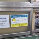분당올림픽스포츠센터 스케이트장