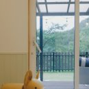 아웃독(OUT DOG) 이미지