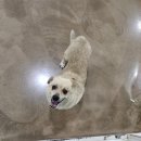 뉴페이스 이미지