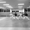 용인대창룡태권도 이미지