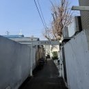 도림로139길 | [맛집 탐방] 문래 캘리포니아st🇺🇸ㅣ미술관 느낌🗽브런치 카페 “칼리프하우스” 내돈내산 방문 후기