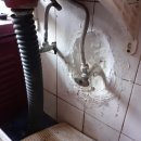 태양 양봉원 이미지