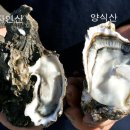 이맛 - 제주시 | 이맛