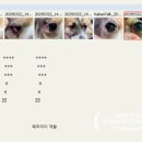 라파엘동물병원 이미지