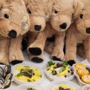 멍냥과자 이미지