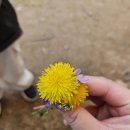 작은꽃어린이집 이미지