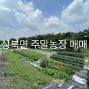 박영태농장 이미지