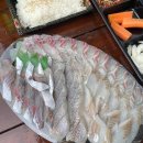 유서방 회 떠가시다 이미지