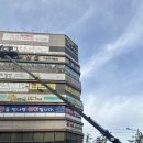 송화태권도 이미지