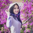 중국국제행정사 이미지