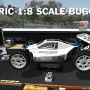 POWERFUL MOTORS 이미지