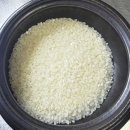 삼광농장 | 아들네미농장 삼광쌀 후기, 밥맛 결정짓는 최고급 품질의 맛있는 쌀 추천