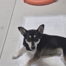 새이름 이미지