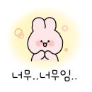 코지펫살롱 이미지