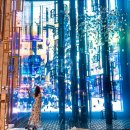 두바이룸 이미지