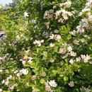 한강메디칼코리아 이미지