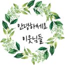 페르마타풀빌라